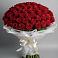 Букет 101 Красная роза Блэк Мэджик в Биорках