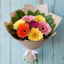Букет цветов из:  Герберы #REPLACE_PRED# Биорках