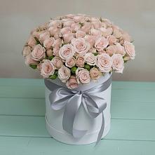 Цветочная композиция из Розы в шляпной коробке #REPLACE_PRED# Биорках