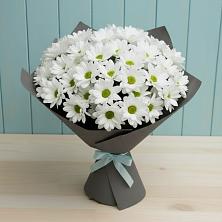 Букет цветов из:  Хризантемы в Биорках