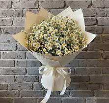 Букет цветов из:  Ромашки в Биорках