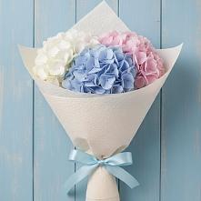 Букет цветов из:  Гортензия #REPLACE_PRED# Биорках
