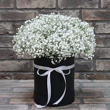 Цветочная композиция из Гипсофила в шляпной коробке #REPLACE_PRED# Биорках