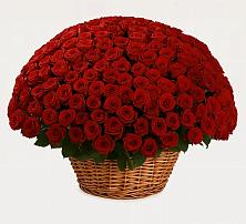 Премиум букет из: Розы в Биорках